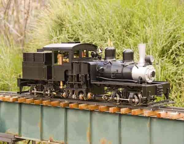 A garden scale model of a logging locomotive.