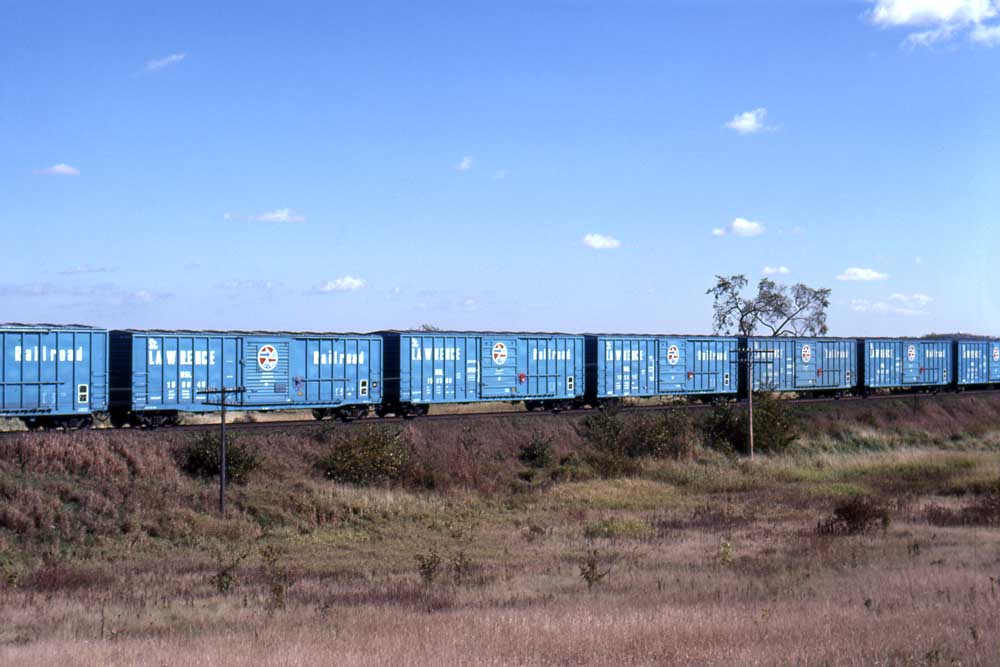 Blue-and-white boxcars in train with tree
