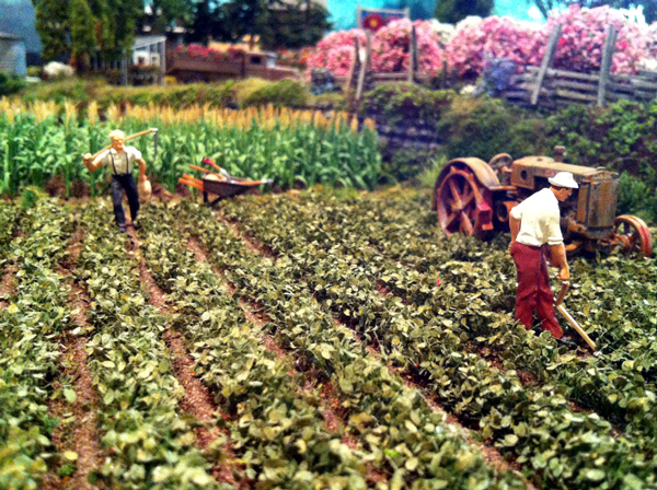 0313crops