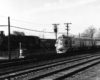 Two trains sitting side by side on the tracks