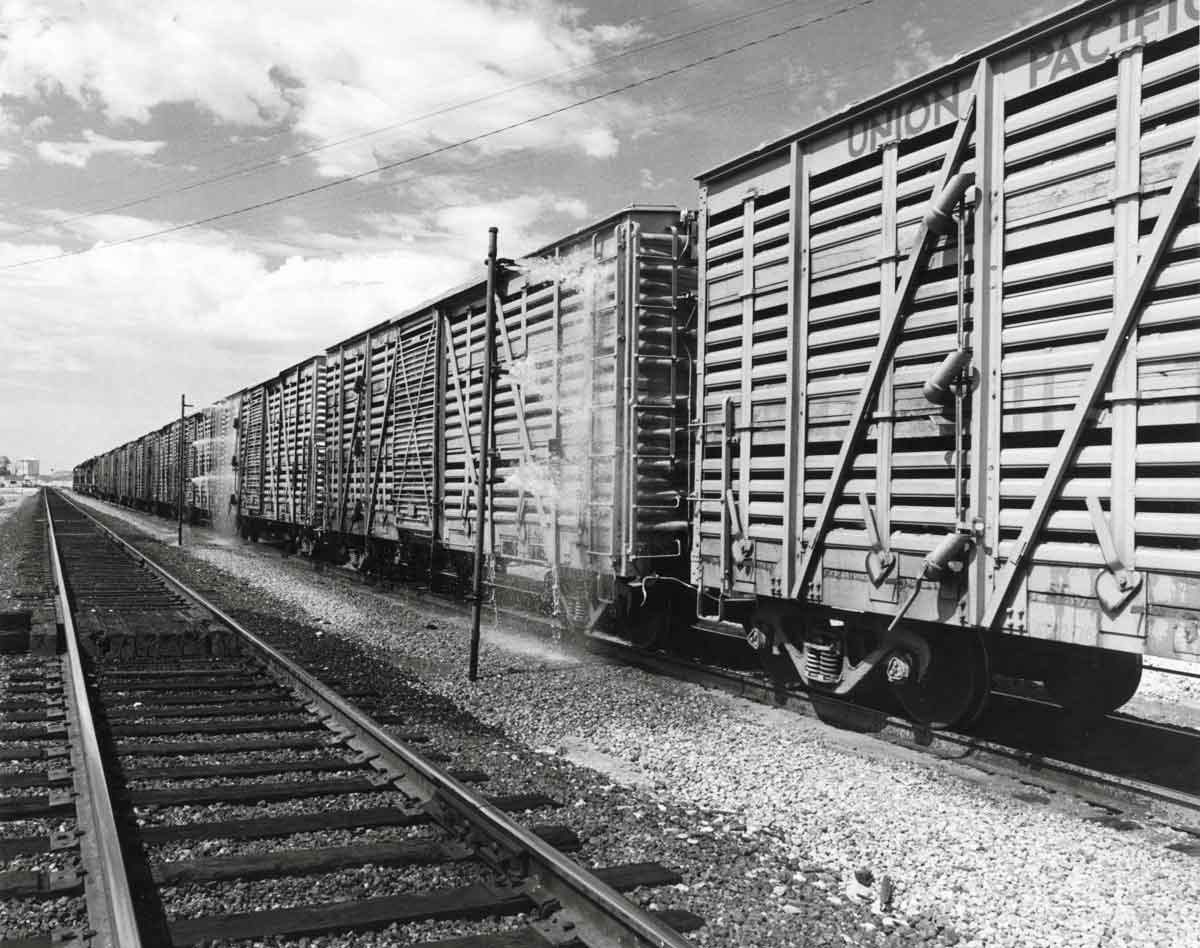 Union Pacific Railroad California Livestock Special
