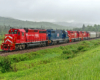 A train passing through a grassy area with lots of trees and hills