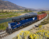 A blue train turning a corner past a grassy area with water