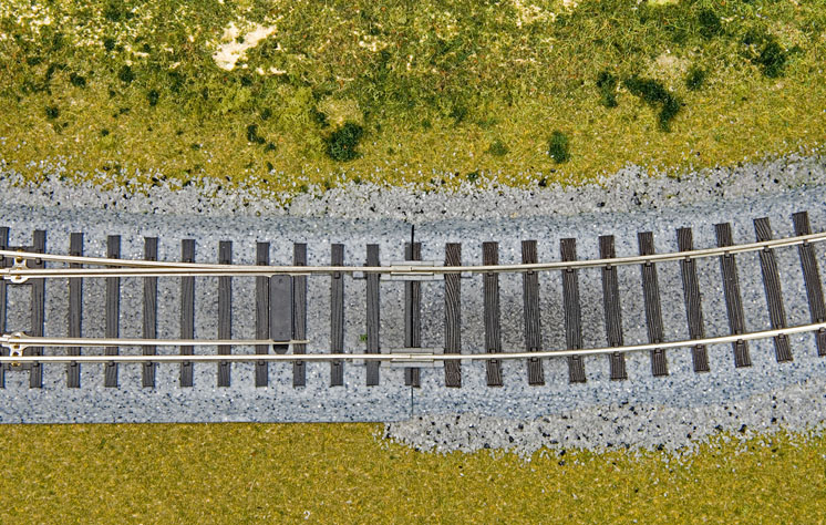 MRRC0207_11