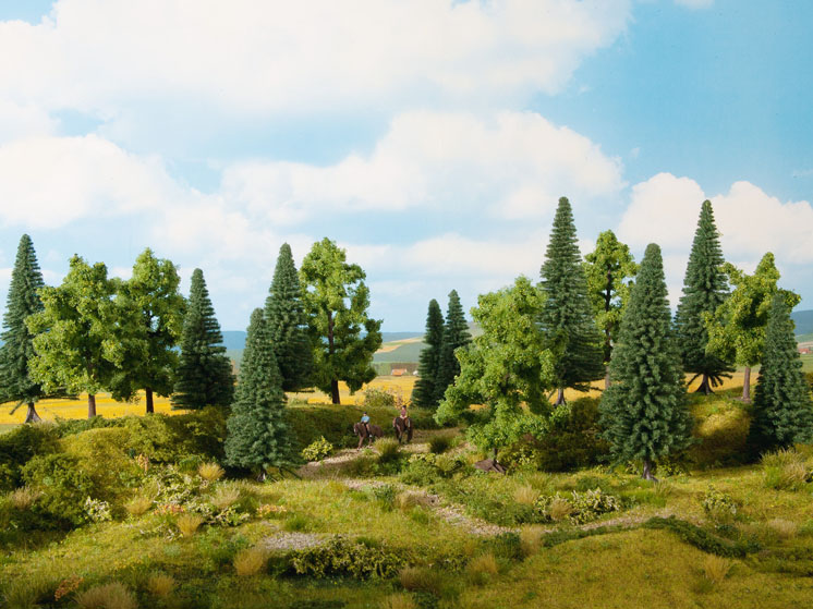 Noch GmbH & Co. deciduous trees