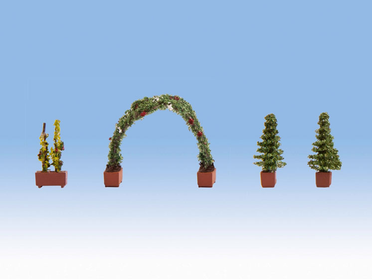 Noch GmbH & Co. KG Ornamental plants