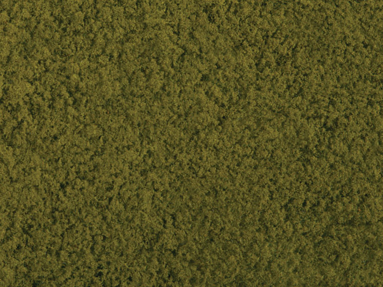 MRRNP0220_54
