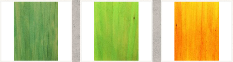 MRRNP1019_02