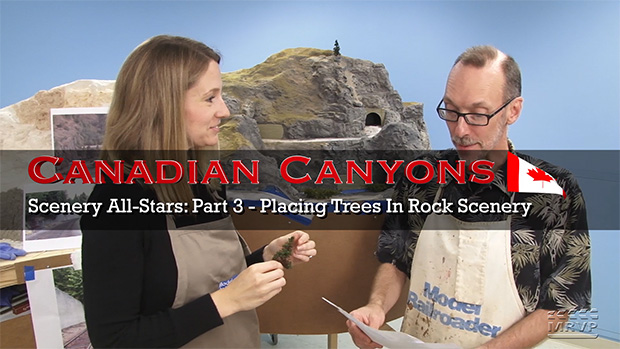 Canadian Canyons Series: Scenery All-Stars, Part 3 – Forestry along the rock faces