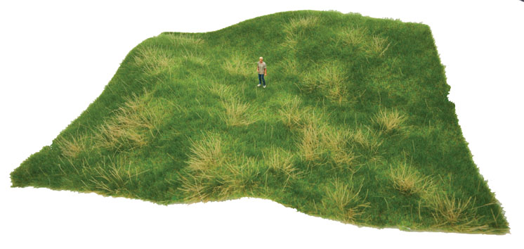 WmKWalthersInctearandplantgrassmat