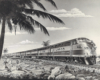 an illustration of a diesel passenger train passing people by a palm tree