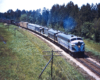 A diesel locomotive passing by some pine trees