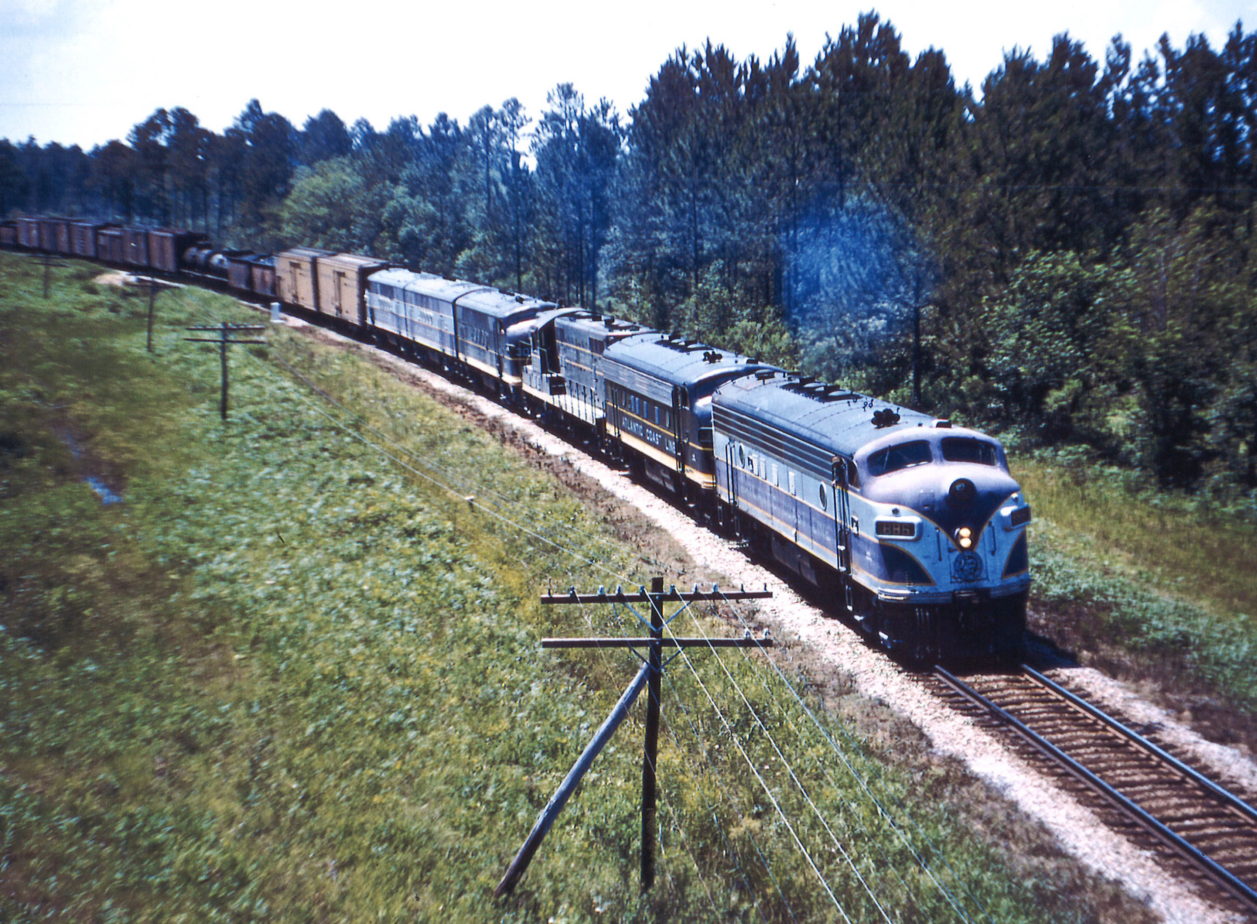 A diesel locomotive passing by some pine trees