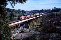 BNSF on Muir Trestle, CA