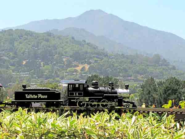 model train next to mountain