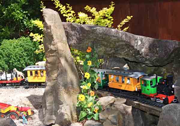 colorful train passes rock and flowers