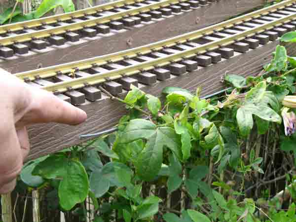 hand pointing at wood benchwork