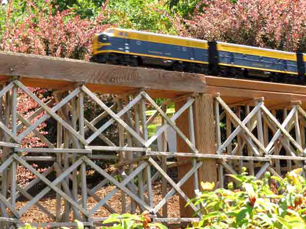 model train on trestle