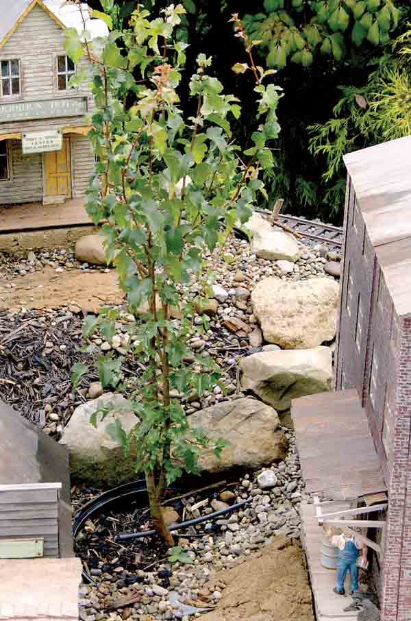 tree in pot on garden railway