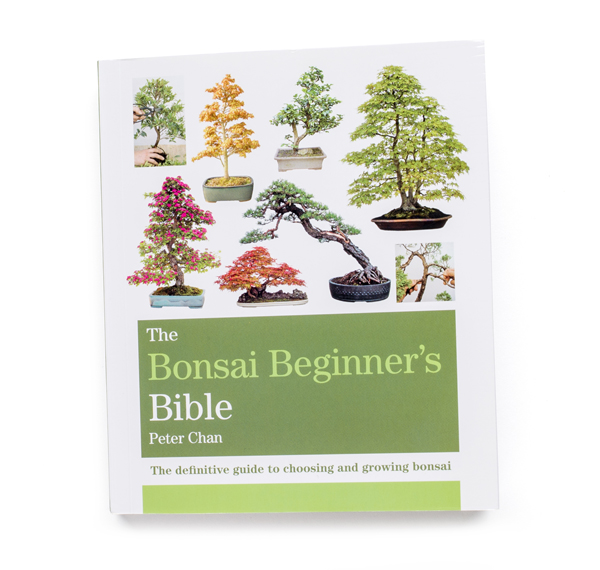 bonsai_book1