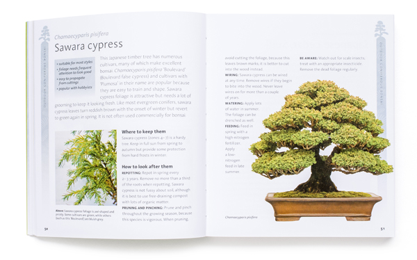 bonsai_book2