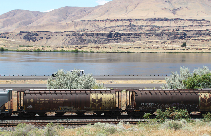Canadian_Grain_Lassen