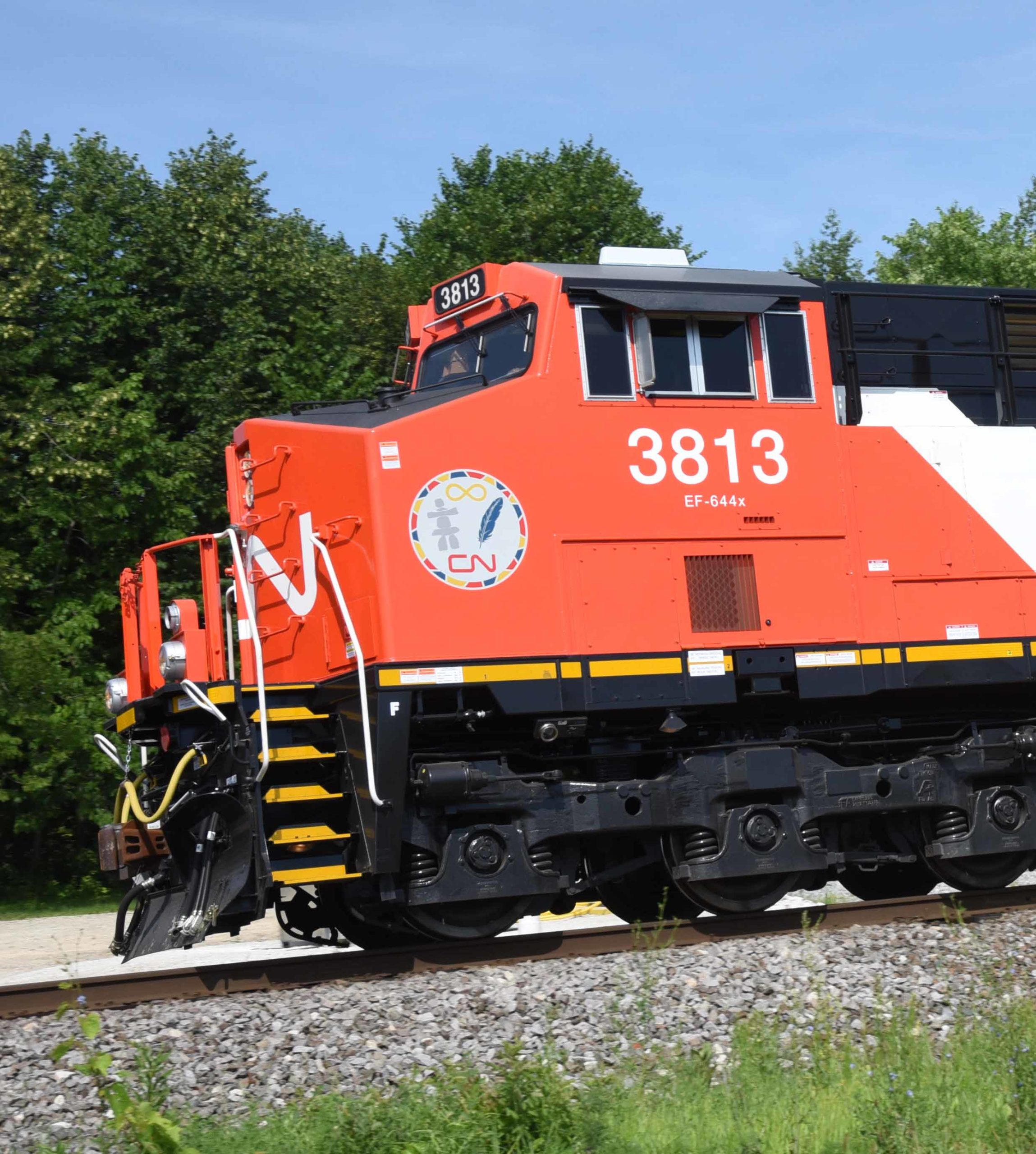 CN3813withnoselogo