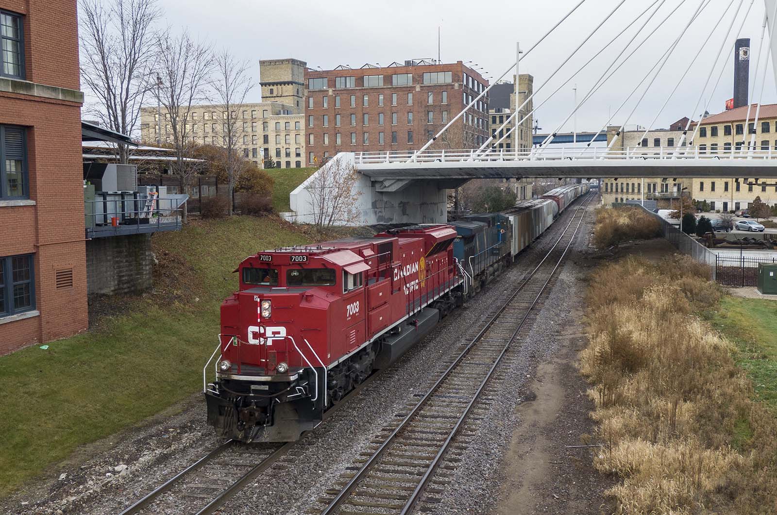 CP7003Milwaukee