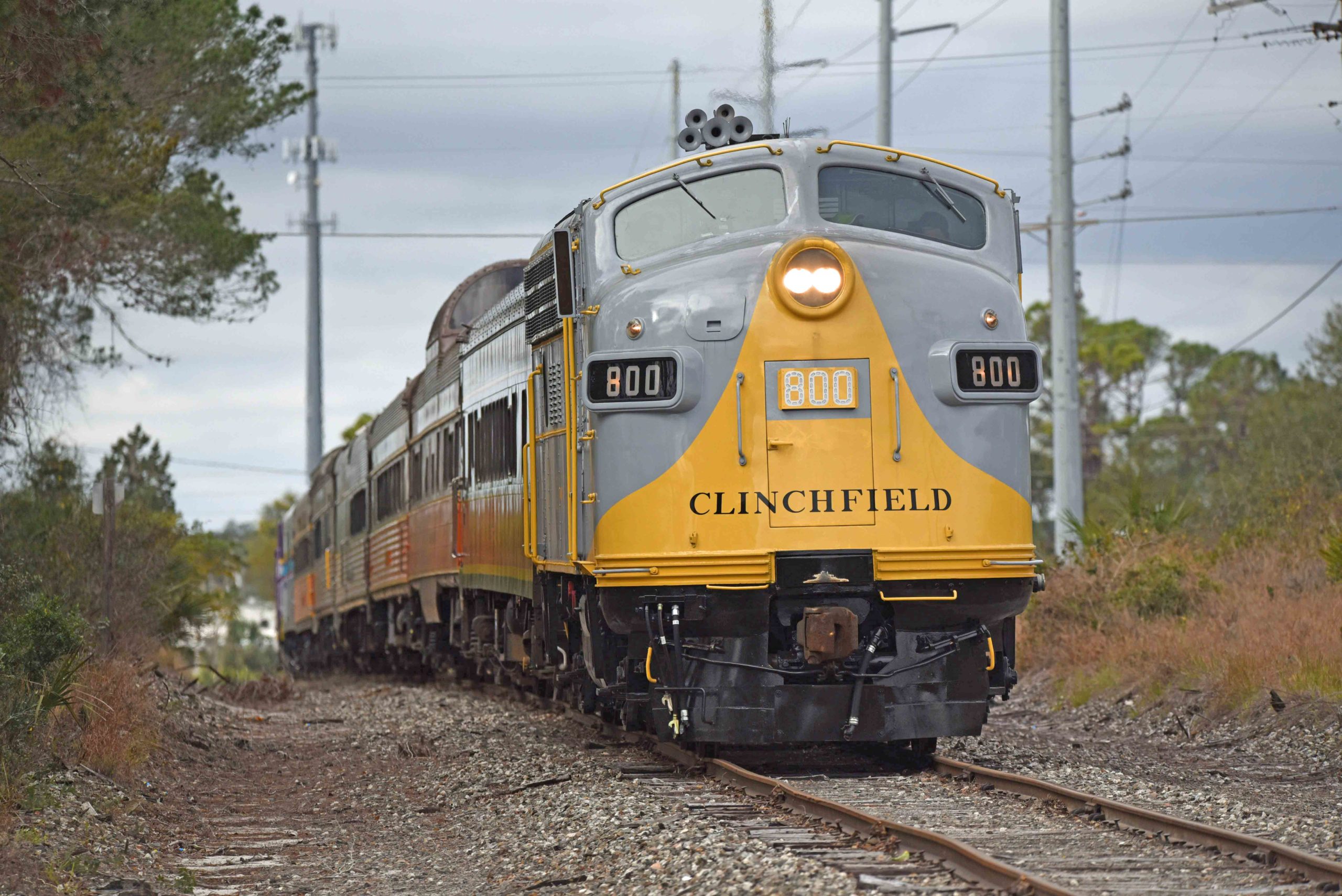 CRR800MountDoraline