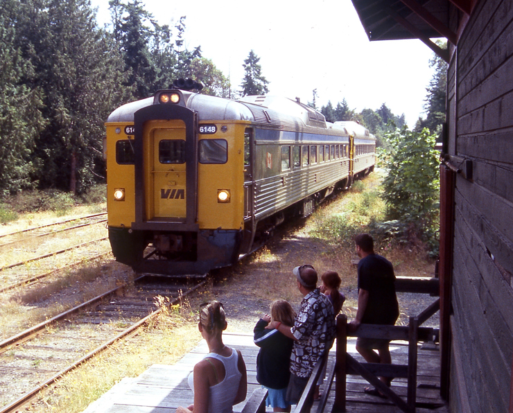 Rail diesel cars with yellow front arrive at station in woods