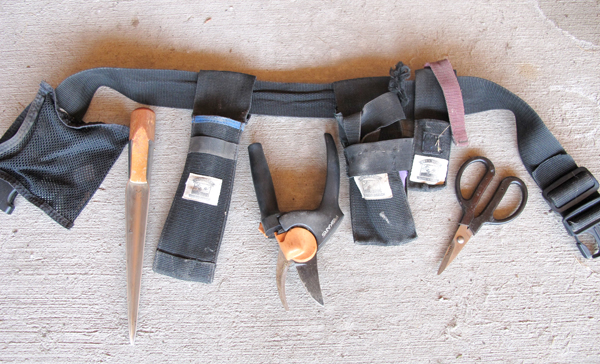 tool belt with gardening tools in it