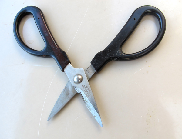 garden scissors opened wide