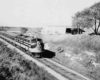 a diesel passenger train by a field