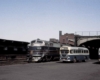 A train next to two buses