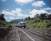 A blue train turning through an area with a lot of trees