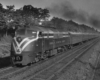 A black and white photo of a training moving down the tracks next to trees