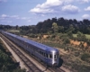 A locomotive moving past trees