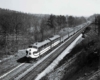 A black and white photo of a locomotive traveling through trees