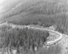 Streamlined passenger train snaking along wooded mountainside