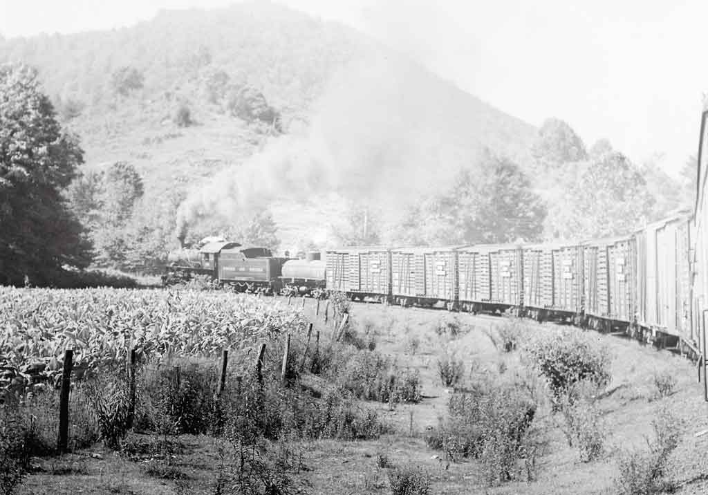 a steam passenger train rounding a corn field