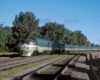 A green and white train passing by trees