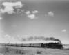 a steam engine pulling passenger cars by a field