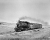 a steam engine passenger train rolling past a field