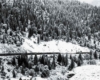 a photo of a passenger train making its way past a snowy forest