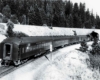 a passenger train entering a tunnel by a snowy forest