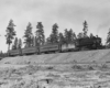 a steam engine with passenger cars rolling past a patch of trees