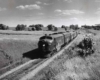 A black and white photo of a train travelling through a grassy area