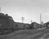 three trains at a train station