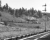 a black and white photo of a train with a steam engine in front of a hill and trees