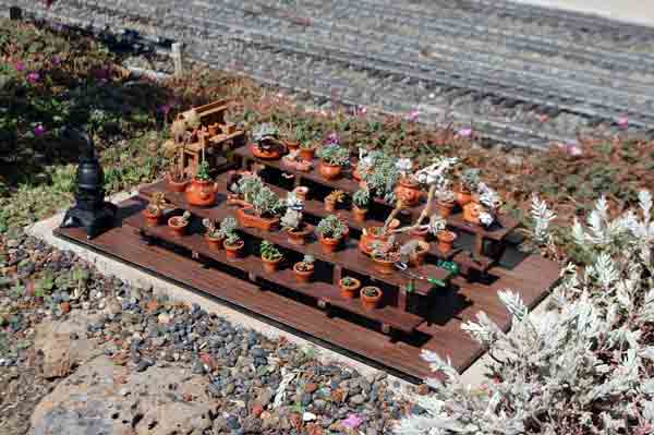 greenhouse10